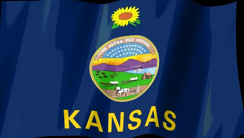 Kansas Flag — Stream Deck screensaver