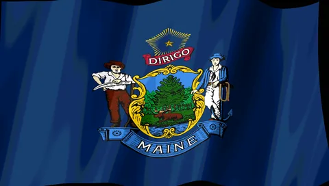 Maine Flag — Stream Deck screensaver