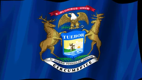 Michigan Flag — Stream Deck screensaver