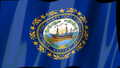 New Hampshire Flag — Stream Deck screensaver