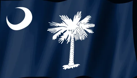 South Carolina Flag — Stream Deck screensaver
