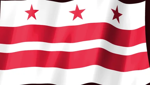 Washington DC Flag — Stream Deck screensaver