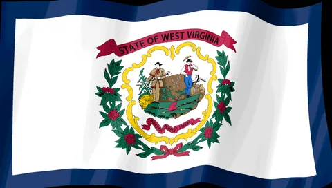 West Virginia Flag — Stream Deck screensaver